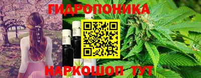 кокс Кулебаки
