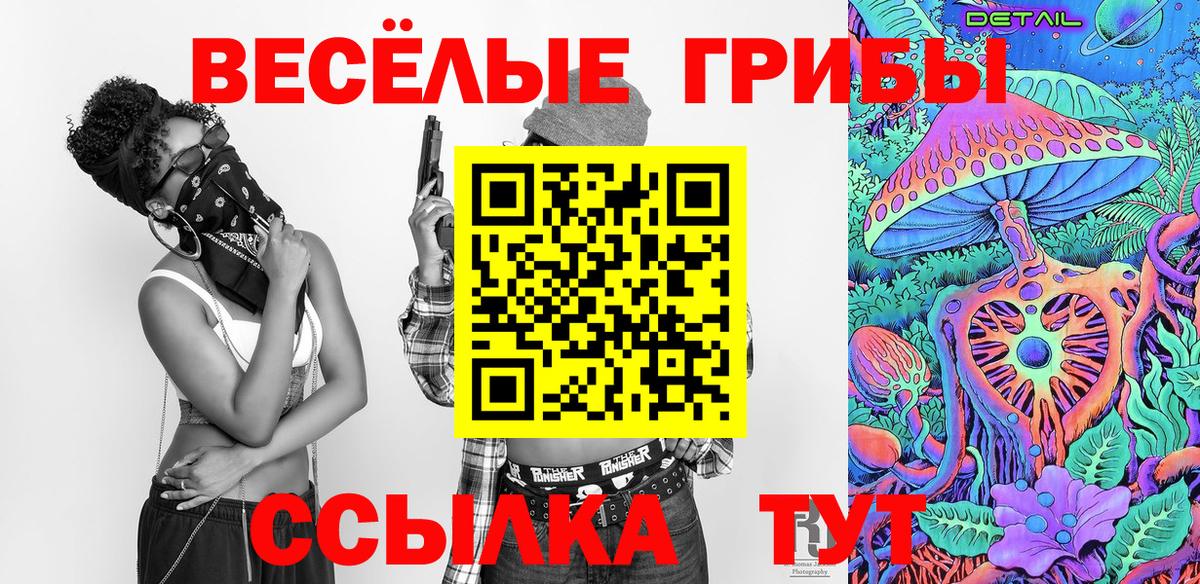 Галлюциногенные грибы Psilocybine cubensis  Вход с VPN  Кемерово  Псилоцибиновые грибы мицелий 