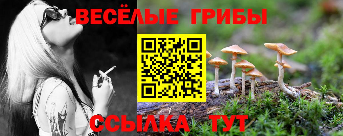 Галлюциногенные грибы Magic Shrooms Кемерово